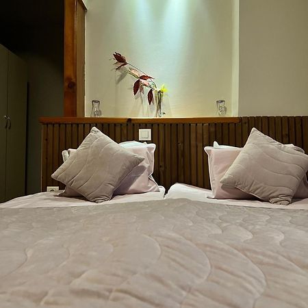 Zasheva Kushta Guesthouse Bansko Dış mekan fotoğraf