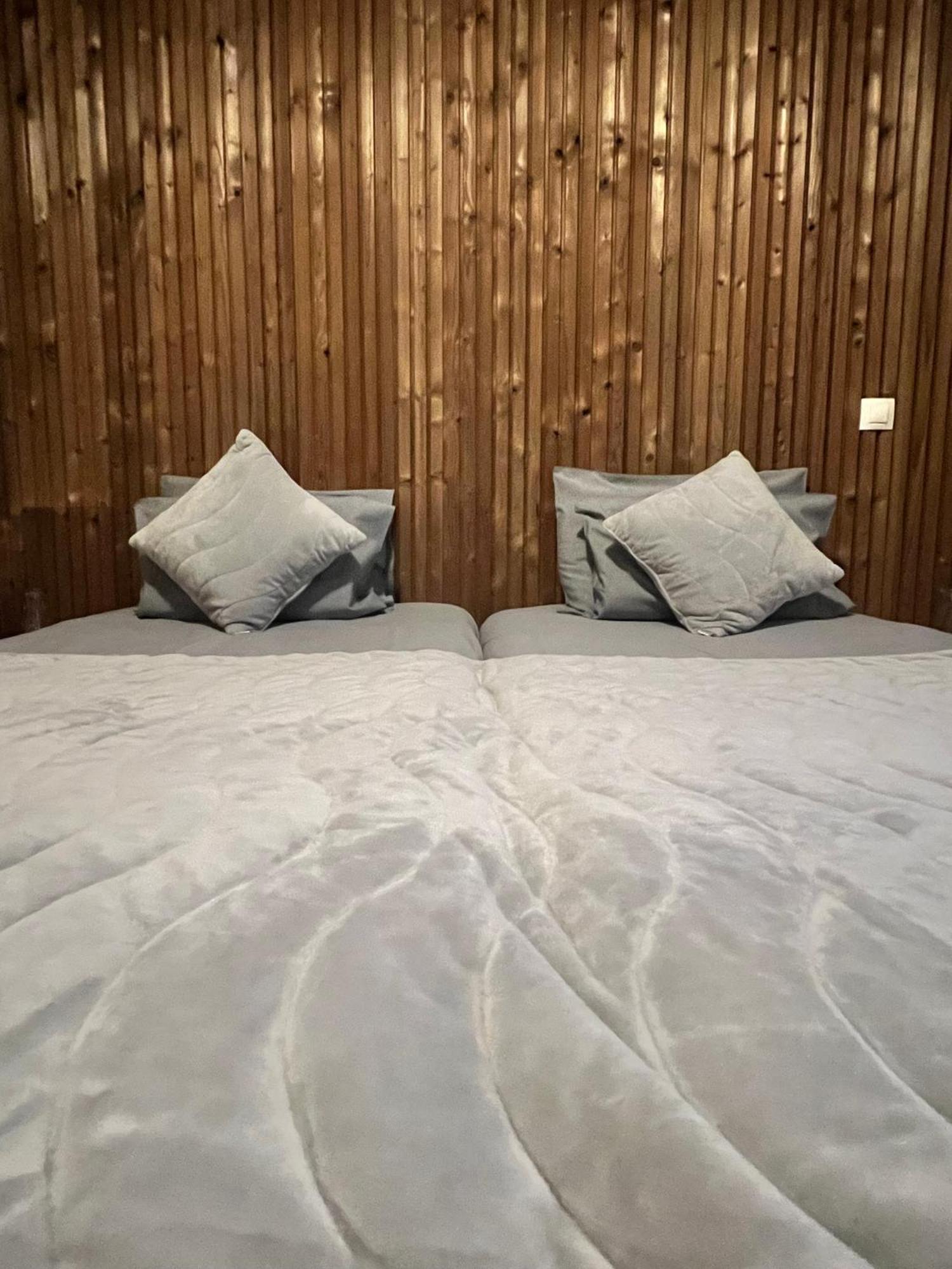 Zasheva Kushta Guesthouse Bansko Dış mekan fotoğraf